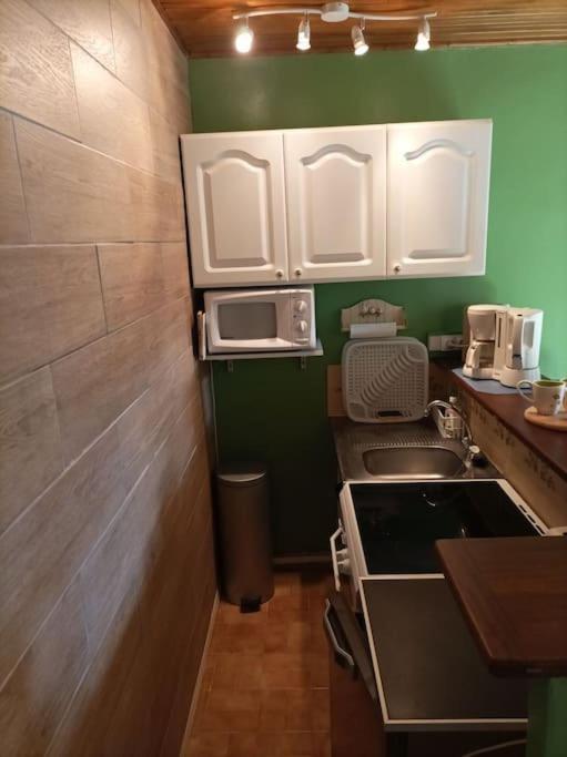 Appartement Lumineux 2 Pieces A St Martin à Saint-Martin-Vésubie Extérieur photo