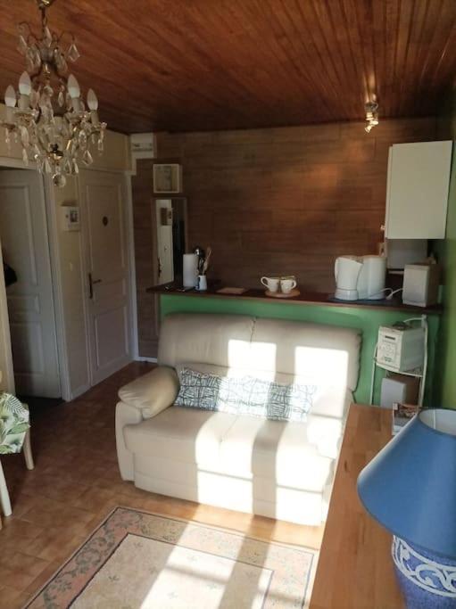 Appartement Lumineux 2 Pieces A St Martin à Saint-Martin-Vésubie Extérieur photo